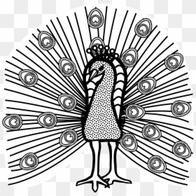 This Free Icons Png Design Of Peacock Lineart , Png - Peacock Clipart Black & White In Png, Transparent Png - lineart png