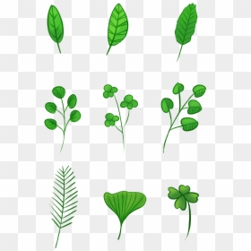 Transparent Vector Leaves Png - पत्तियों के चित्र, Png Download - hand drawn square png