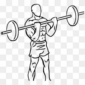 Transparent Weights Clipart - Biceps Curl Png, Png Download - weightlifter png