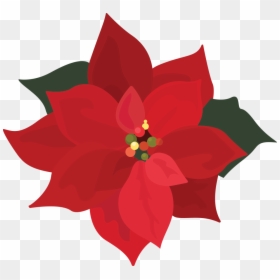 Png Download , Png Download - Poinsettia Clip Art Png, Transparent Png - poinsettias png