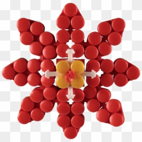 Flower Of Service Airline, HD Png Download - poinsettias png