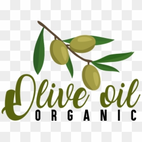 Olive, HD Png Download - food symbol png