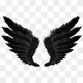 Transparent Demon Wings Png - Black Angel Wings Png, Png Download - realistic devil horns png