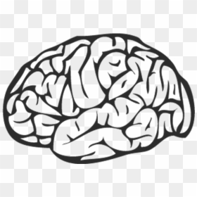 Brain Png Black - Brain Vector Art Png, Transparent Png - black vector png