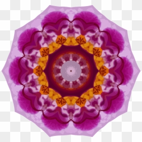 Orchid Kaleidoscope, HD Png Download - pink orchid png