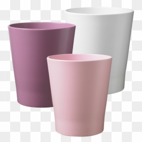 Cup, HD Png Download - pink orchid png