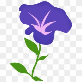 Morning Glory Png - Morning Glory Png Vector, Transparent Png - glory png