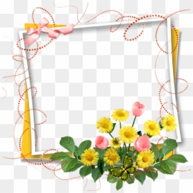 Floral Birthday Frames Png Clipart , Png Download - Birthday Wishes Photo Frame Png, Transparent Png - floral frames png
