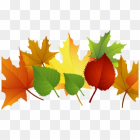 Falling Clipart Autumn Leaf - Fall Leaves Clipart Transparent, HD Png Download - fall leaves clip art png