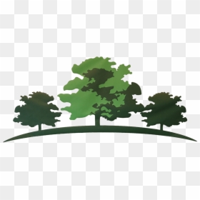 Home - Allen Tree Services, HD Png Download - mossy rock png