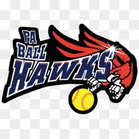 Ball Hawks Logo , Transparent Cartoons - Ball Hawks Logo, HD Png Download - atlanta hawks png