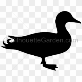 Wood Duck Clipart Silhouette Flying - Mallard Duck Silhouette Clip Art, HD Png Download - mallard png