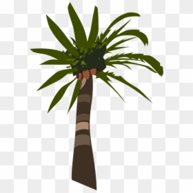Palm Oil Tree Silhouette, HD Png Download - palmeira png