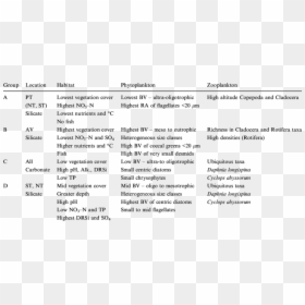 Principal Habitat, Phytoplankton And Zooplankton Characteristics - Physical Characteristics Of Phytoplankton And Zooplankton, HD Png Download - phytoplankton png