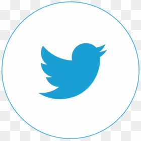 Logo Twitter, HD Png Download - tech circle png