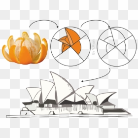 Sydney Opera House Biomimicry, HD Png Download - orange peel png