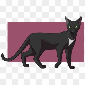 Black Cat Warriors Kitten Drawing, HD Png Download - warrior cats png