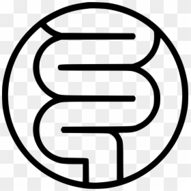 Png File Svg - Intestine Icon, Transparent Png - intestine png