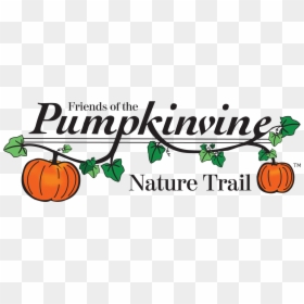 Pumpkin, HD Png Download - natural png