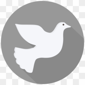 Holy Spirit Png - White Holy Spirit Dove Bird, Transparent Png - dove outline png
