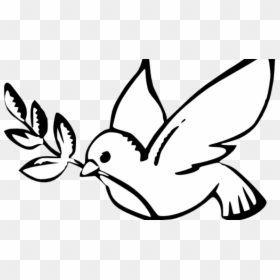 Culture Clipart Non Violence - Art Non Violence Drawing, HD Png Download - dove outline png