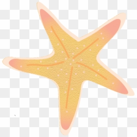 Starfish, HD Png Download - guy fieri png