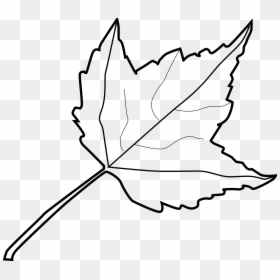 Leaf Clipart Black And White, HD Png Download - fall leaf png