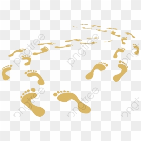 Small Footprints, HD Png Download - footprint png