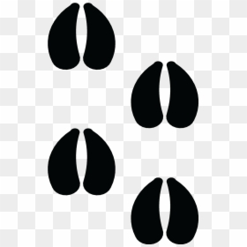 Sheep Footprint, HD Png Download - footprint png