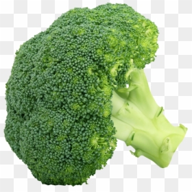 Broccoli Picture Of Vegetables, HD Png Download - broccoli png