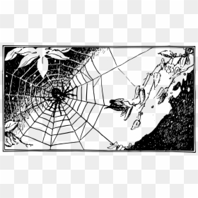 Spider Web Png, Transparent Png - spiderweb png