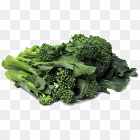 Italica Group, HD Png Download - broccoli png