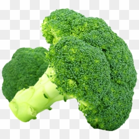 Broccoli Png, Transparent Png - broccoli png