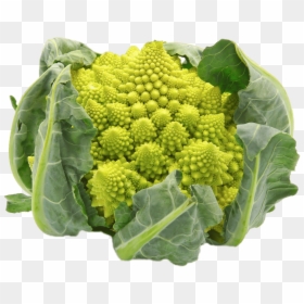 Exotic Vegetable, HD Png Download - broccoli png