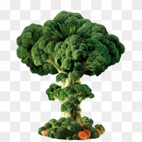 Vegetable, HD Png Download - broccoli png