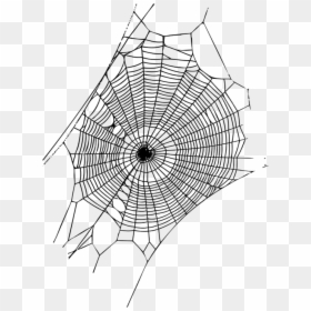 Painted Spider Web, HD Png Download - spiderweb png
