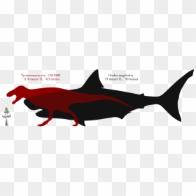 Spinosaurus Vs Megalodon Size, HD Png Download - facepalm png