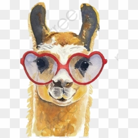 Llama Watercolour, HD Png Download - llama png