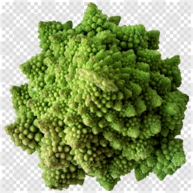Cauliflower, HD Png Download - broccoli png