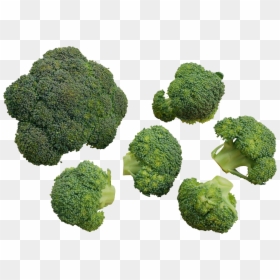 Italica Group, HD Png Download - broccoli png