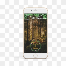 Iphone, HD Png Download - fairy lights png