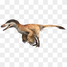 Velociraptor, HD Png Download - velociraptor png