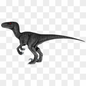 Velociraptor Transparent, HD Png Download - velociraptor png