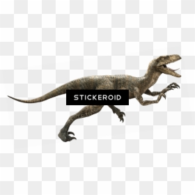 Velociraptor Png, Transparent Png - velociraptor png