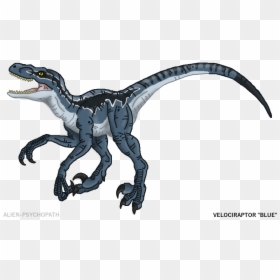 Drawings Of Blue Raptor, HD Png Download - velociraptor png