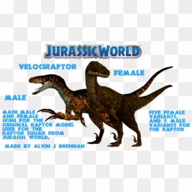Lost World Jurassic Park Female Raptor, HD Png Download - velociraptor png