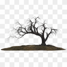 Creepy Tree Png, Transparent Png - scary png