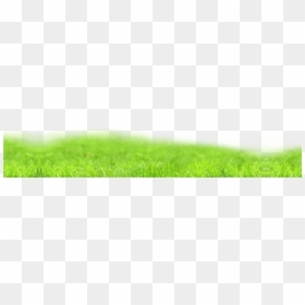 Lawn, HD Png Download - green png