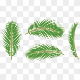 Green Leaves Of Palm Png, Transparent Png - green png