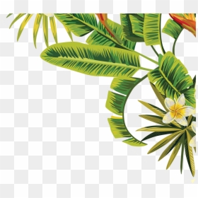 Tropical Leaves Png Transparent, Png Download - tropical png